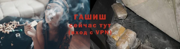 гашик Богородск