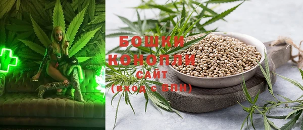 ПСИЛОЦИБИНОВЫЕ ГРИБЫ Богородицк