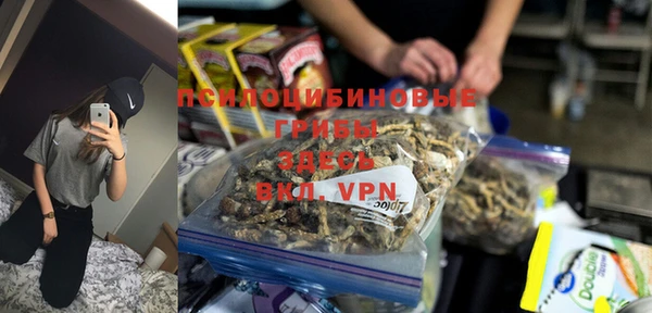 ПСИЛОЦИБИНОВЫЕ ГРИБЫ Богородицк