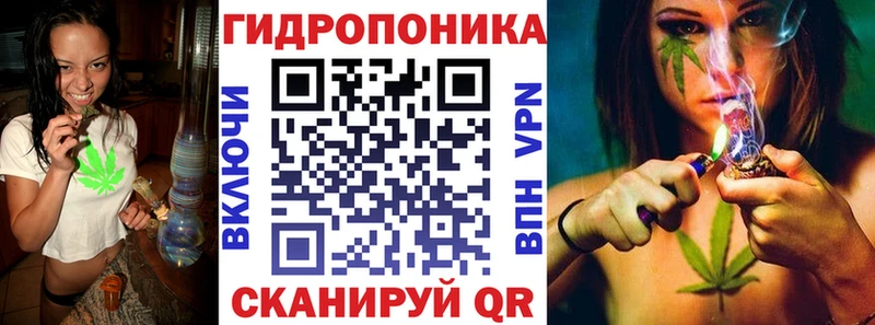 Бошки марихуана OG Kush  Костерёво 